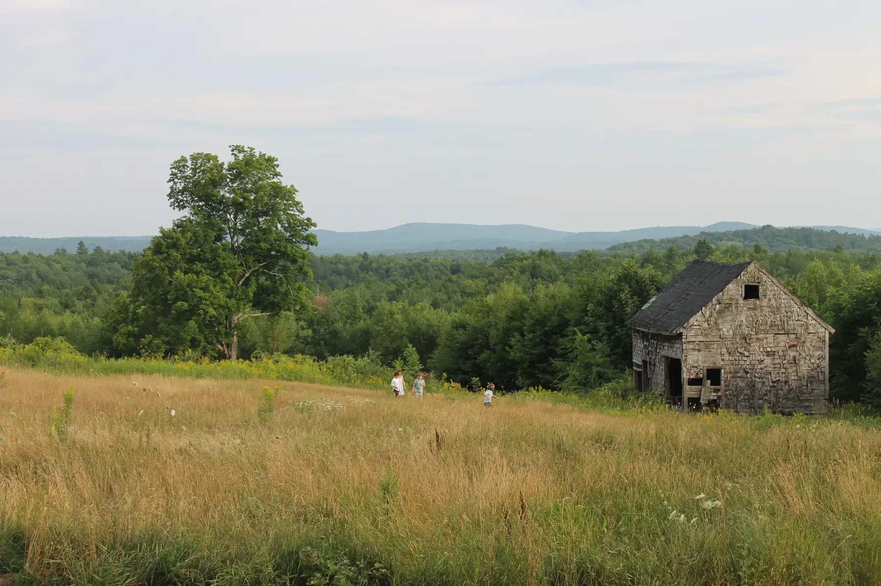 South Road Farm